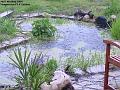 2004-0504pond